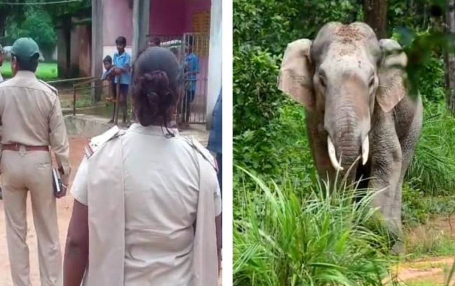 जशपुर. छत्तीसगढ़ के जशपुर वन मंडल में हाथी को लेकर खान्ताडाड़ प्राथमिक शाला में वन विभाग ने स्कूली बच्चों की सुरक्षा के अतिरिक्त इंतेजाम किऐ हैं. वन मंडल अधिकारी जितेन्द्र उपाध्याय ने बताया कि बगीचा वन परिक्षेत्र में ये स्कूल जंगल के पास होने से स्कूली बच्चों के लिए वन अमले को तैनात किया जा रहा है