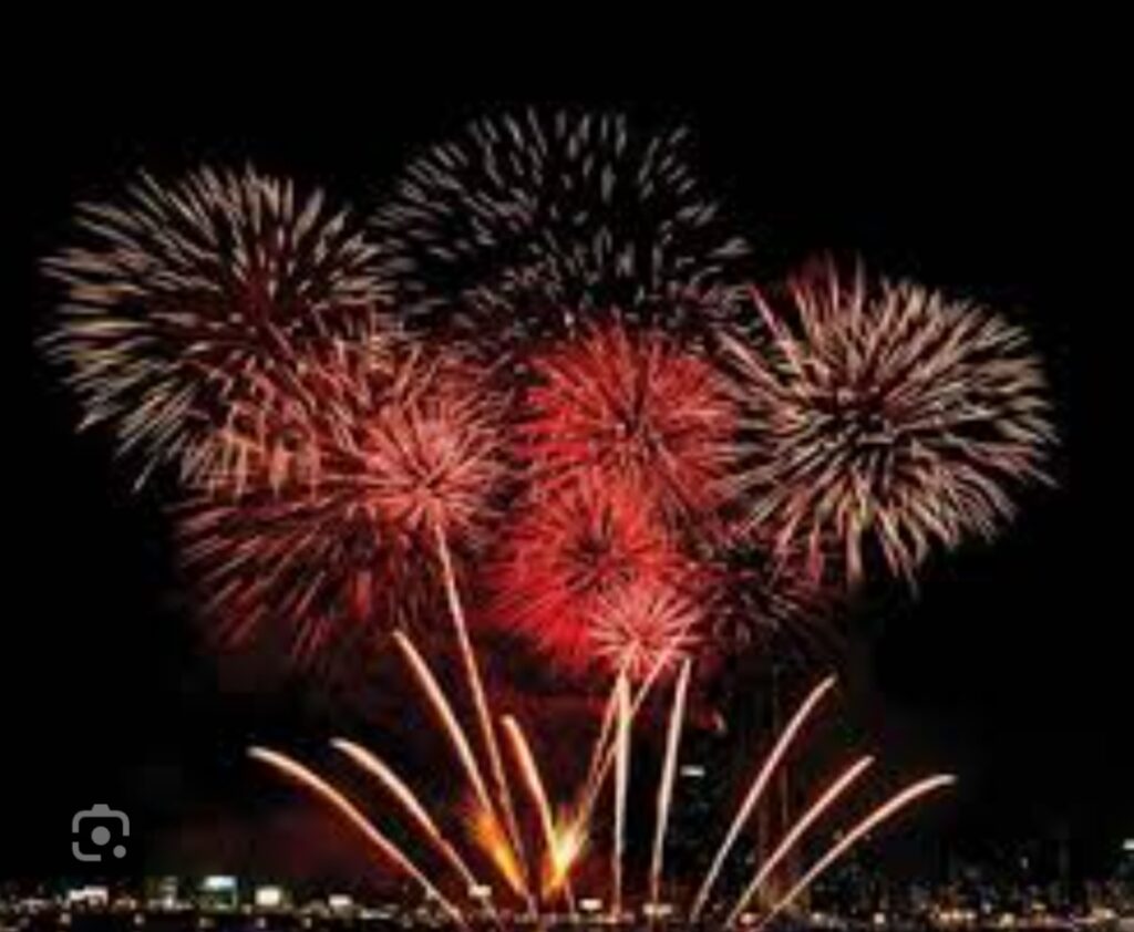 रायपुर, बिलासपुर ,दुर्ग ,रायगढ़ और कोरबा जिले में 1 दिसंबर से 31 जनवरी तक पटाखे फोड़ने पर रहेगा प्रतिबंध