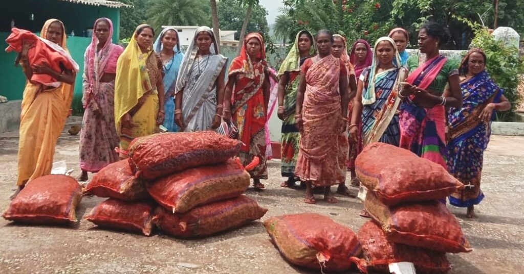 बिहान समूह की दीदियां हल्दी की खेती की ओर बढ़ रही आगे