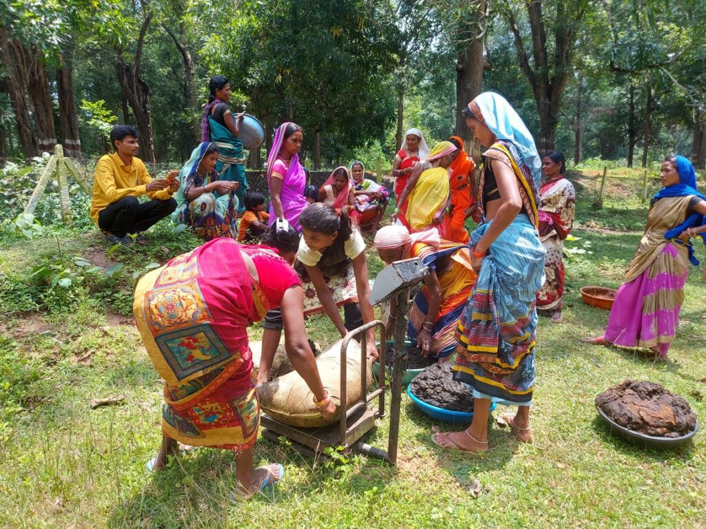 बदलता दंतेवाड़ाः नई तस्वीर : गौ धन से संवर रहा आदिवासी महिलाओं का जीवन