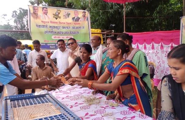 सुकमा : गौठानों से समूह की महिलाएं बन रही आत्मनिर्भर