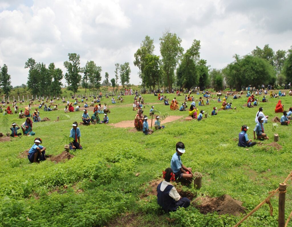 विशेष लेख, छत्तीसगढ़ में हरियाली के साथ बढ़ेगी किसानों की आय