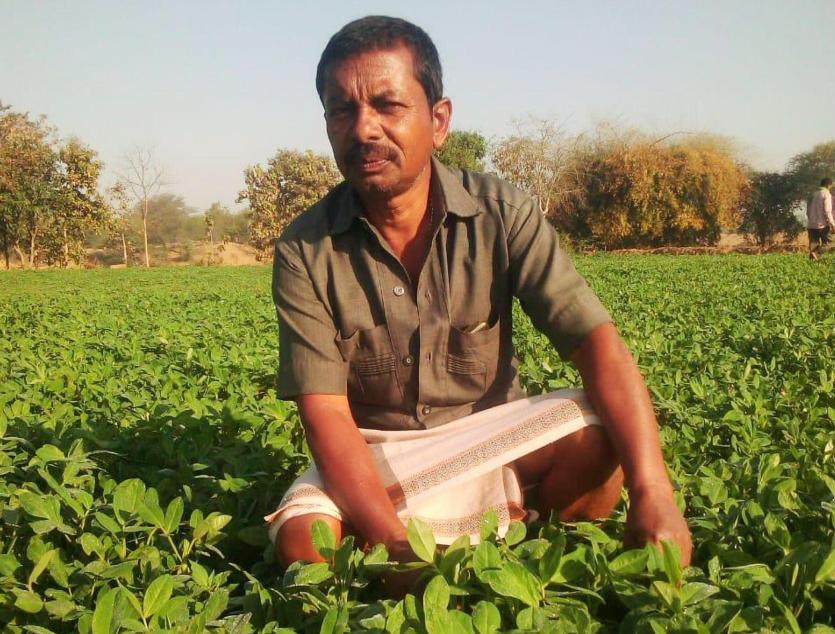 छत्तीसगढ़ में समृद्ध होते किसान