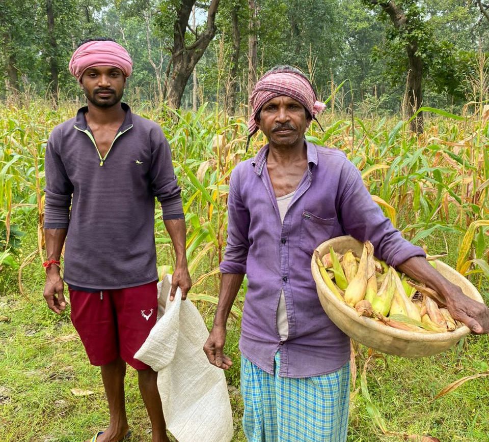 गरियाबंद : मक्के की खेती से आर्थिक रूप से सशक्त हुआ सालिक राम ध्रुव का परिवार