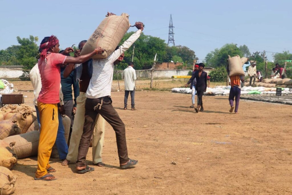 छत्तीसगढ़ में धान खरीदी का महाभियान