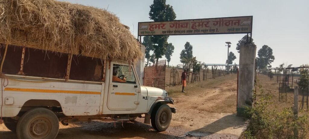 गौठानों में पैरादान हेतु स्वेच्छा से आगे आ रहे किसान, अब तक लगभग 800 क्विंटल हुआ पैरादान