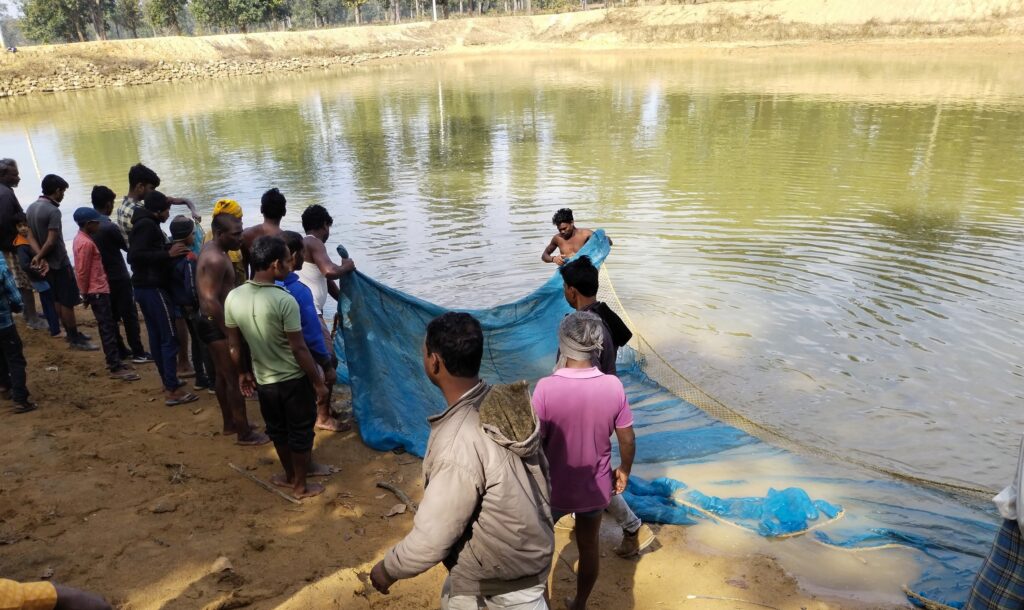 मछली पालन से महिला स्व सहायता समूह स्वावलंबन की ओर अग्रसर, मनरेगा का तालाब बना संसाधन