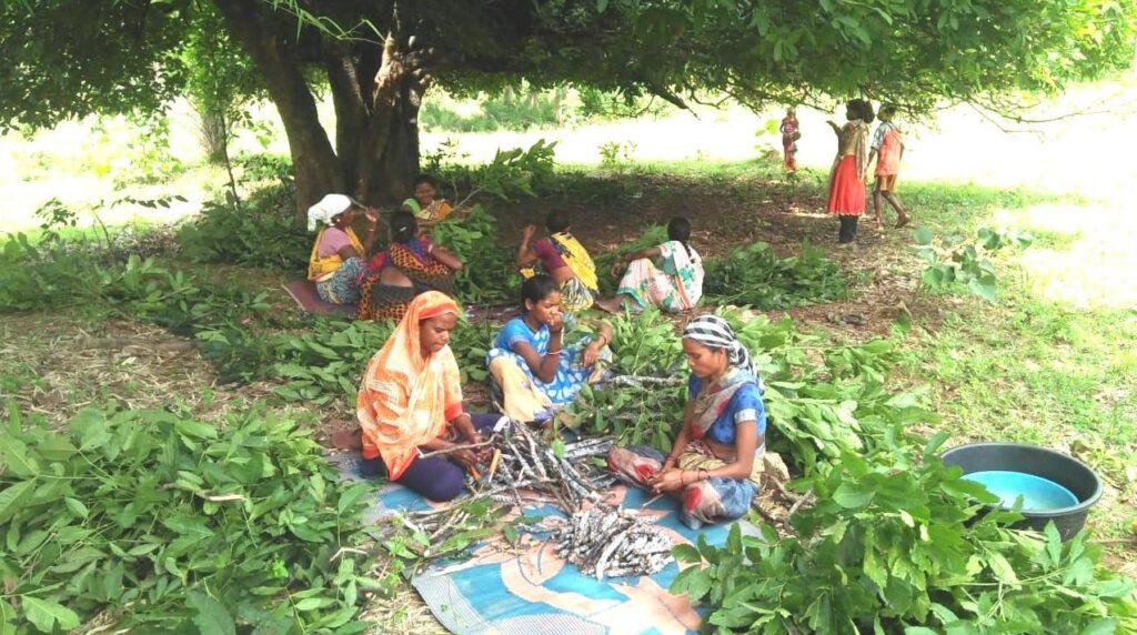 छत्तीसगढ़ में 65 लघु वनोपजों की हो रही खरीदी समर्थन मूल्य पर