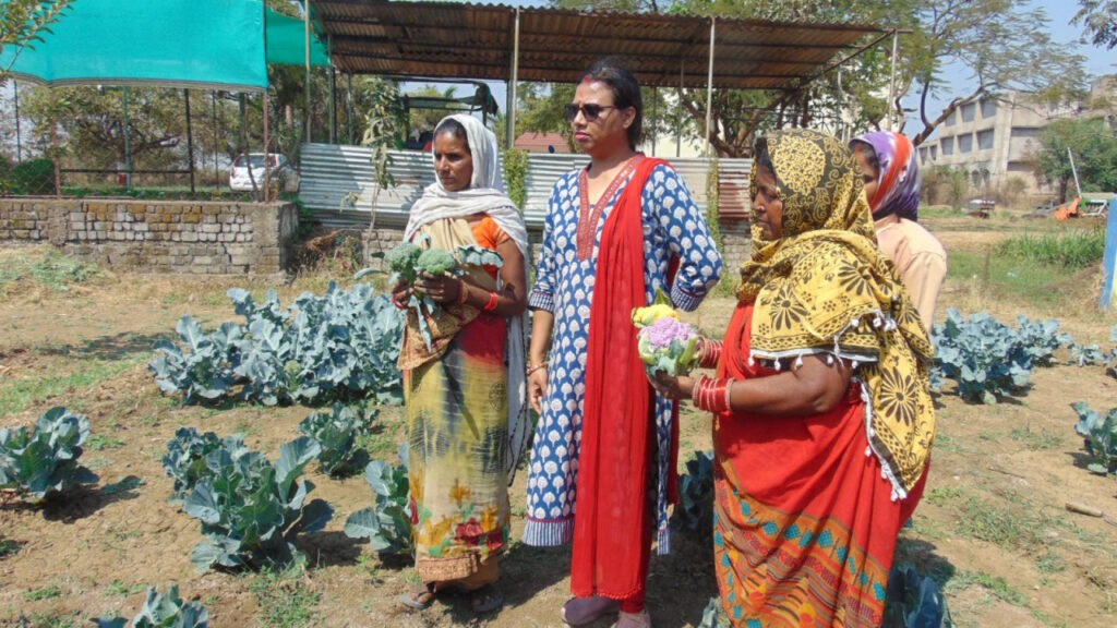 दुर्ग : अंजोरा में हो रही है रंगीन फूलगोभी एवं ब्रोकली की खेती, पोषक तत्व से भरपूर