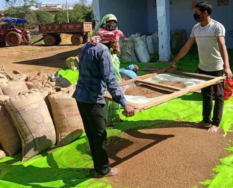 प्रदेश में कोदो, कुटकी और रागी की खरीदी तीव्र गति से जारी