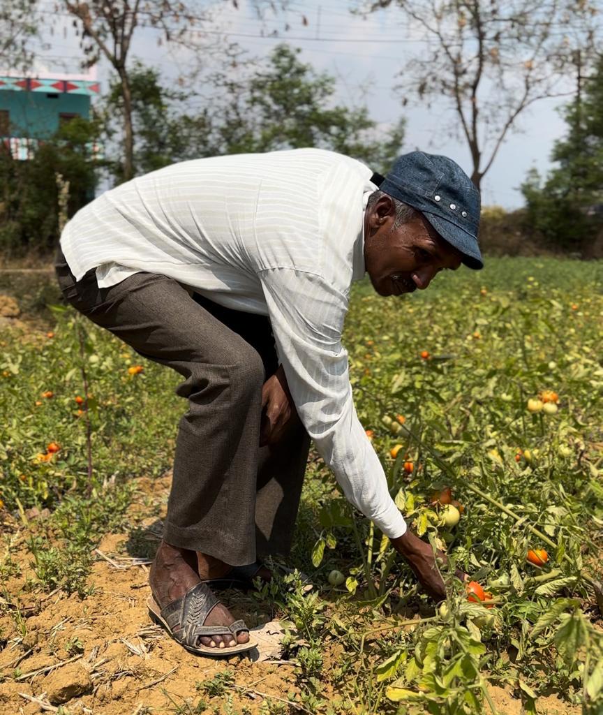 सफलता की कहानी,किसानों के हित में मुख्यमंत्री की बड़ी घोषणा