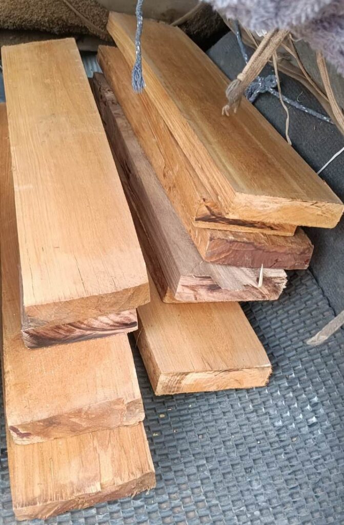 सागौन तथा बीजा लकड़ी के अवैध चिरान जप्त संलिप्त तीन आरोपियों को जेल