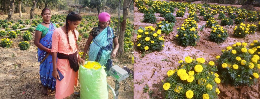 फूलों की खेती से महका महिलाओं का जीवन