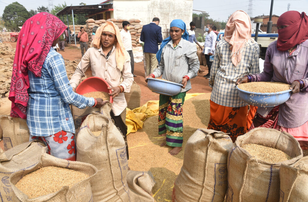 प्रति एकड़ 20 क्विंटल धान खरीदी एक क्रांतिकारी फैसला