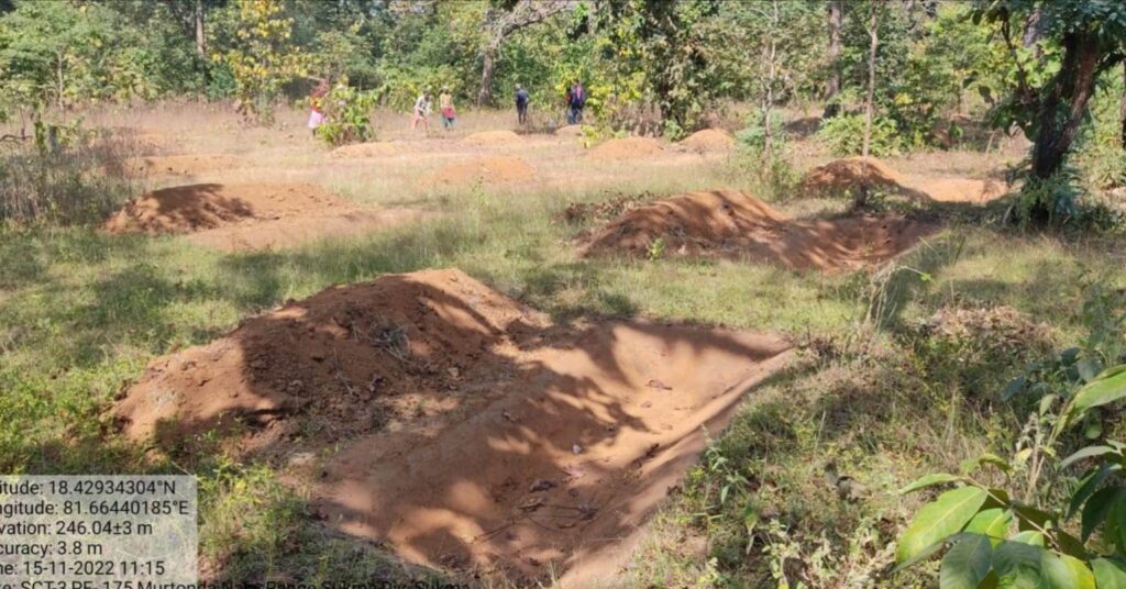 नरवा विकास वनांचल में बिखेरती बहार