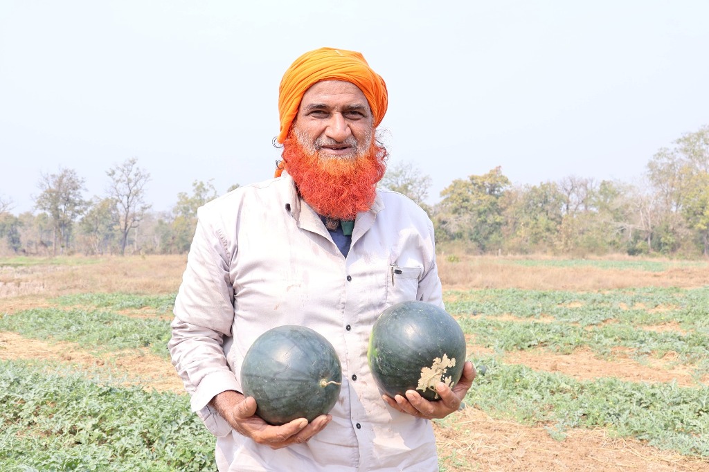 बीजापुर : खीरा, ककड़ी, तरबूज, लौकी जैसे फसलों से खेती में आयी हरियाली