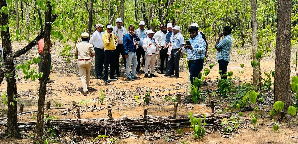 सत्रह राज्यों के अधिकारियों ने छत्तीसगढ़ के नरवा विकास का स्थल में जाकर किया अवलोकन