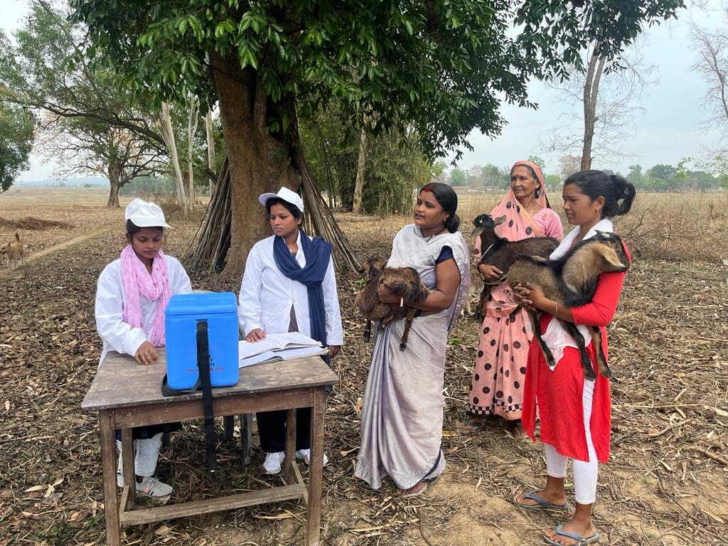 गौठानों के माध्यम से पशु उद्यमी सखियों को मिल रही है आर्थिक मजबूती