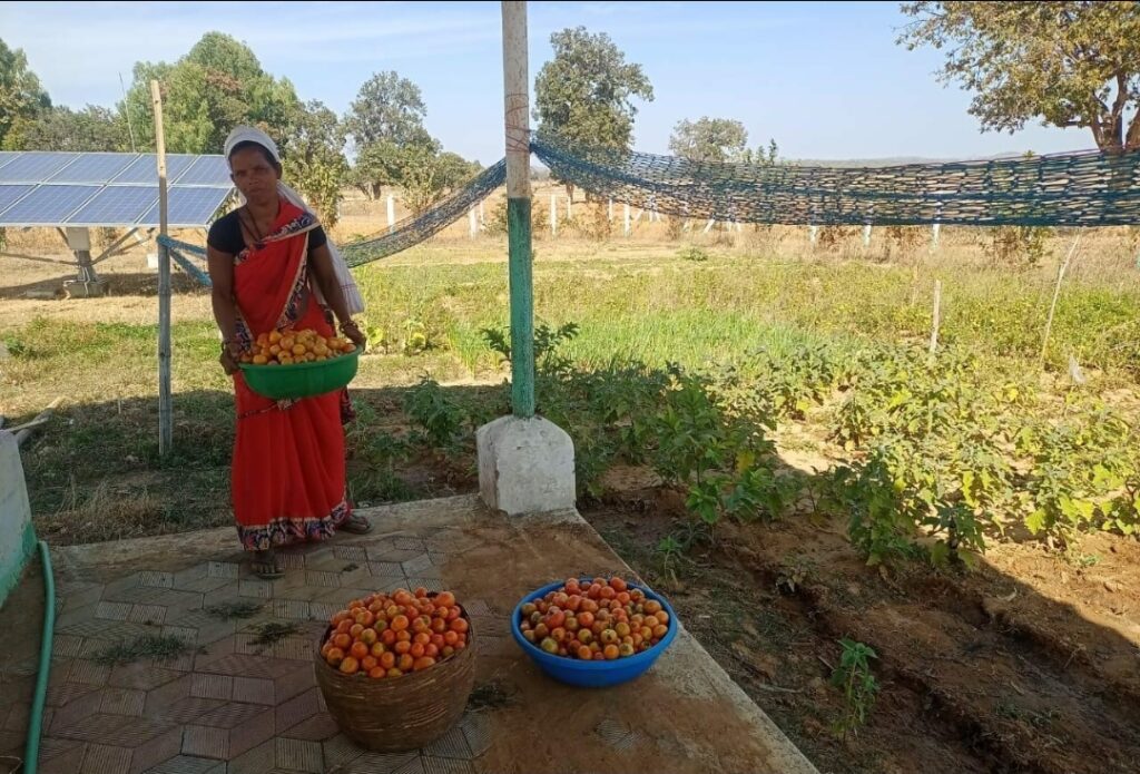 (सफलता की कहानी)बाड़ी विकास योजना से ग्रामीण अर्थव्यवस्था को मिली मजबूती,