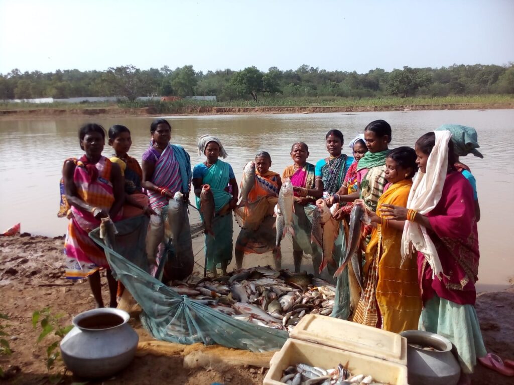 ग्रामीण अर्थव्यवस्था का मजबूत आधार बनी गौठान