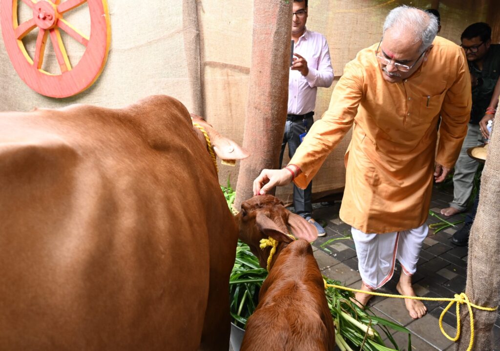 मुख्यमंत्री ने हरेली तिहार पर अत्याधुनिक तकनीक से जन्मी बछिया की पूजा-अर्चना की