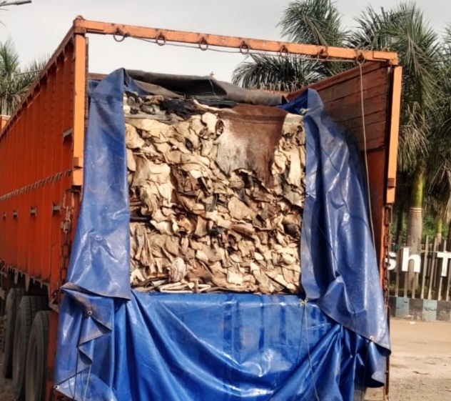 दुर्ग से इस वक्त बड़ी खबर सामने आ रही है जहां कुम्हारी टोल प्लाजा के पास हिंदू संगठनों ने मिलकर मिलकर एक ट्रक को पकड़ा है