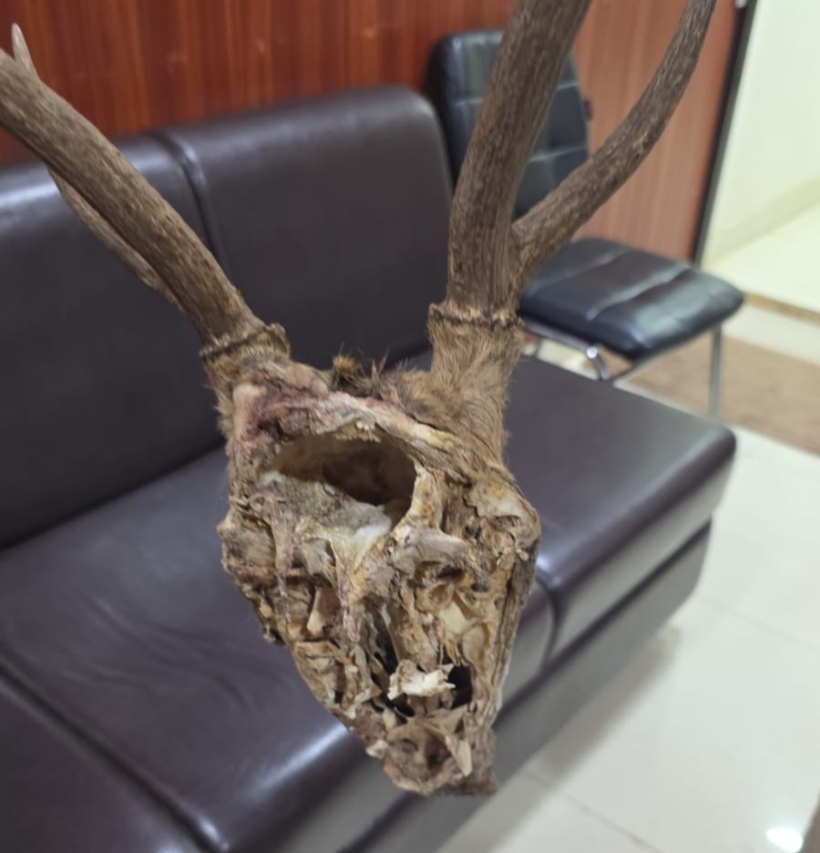 वन विभाग की बड़ी कार्यवाही