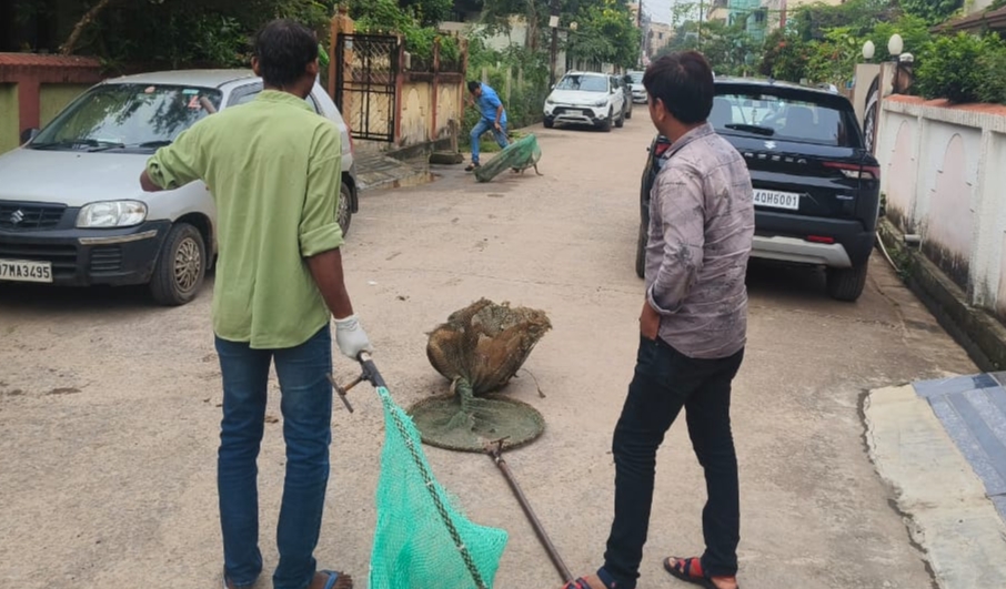 “वार्ड पार्षद के निर्देश पर मोवा में आवारा कुत्तों की धरपकड़, लोगों ने राहत की सांस”ली