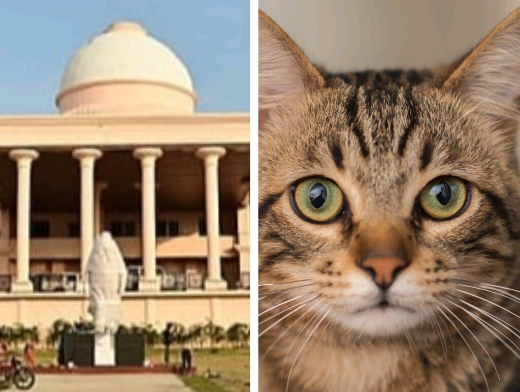 विधानसभा में अनोखा दृश्य: शीतकालीन सत्र के पहले दिन बिल्ली की एंट्री ने खींचा ध्यान