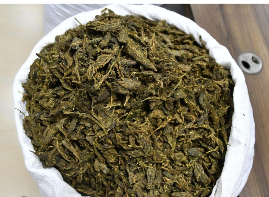 तीन गांजा तस्करों को 20-20 साल की कठोर सजा