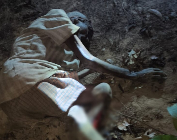 हाथी ने उतारा मौत के घाट, इलाके में 100 से अधिक हाथी मौजूद, दहशत में ग्रामीण